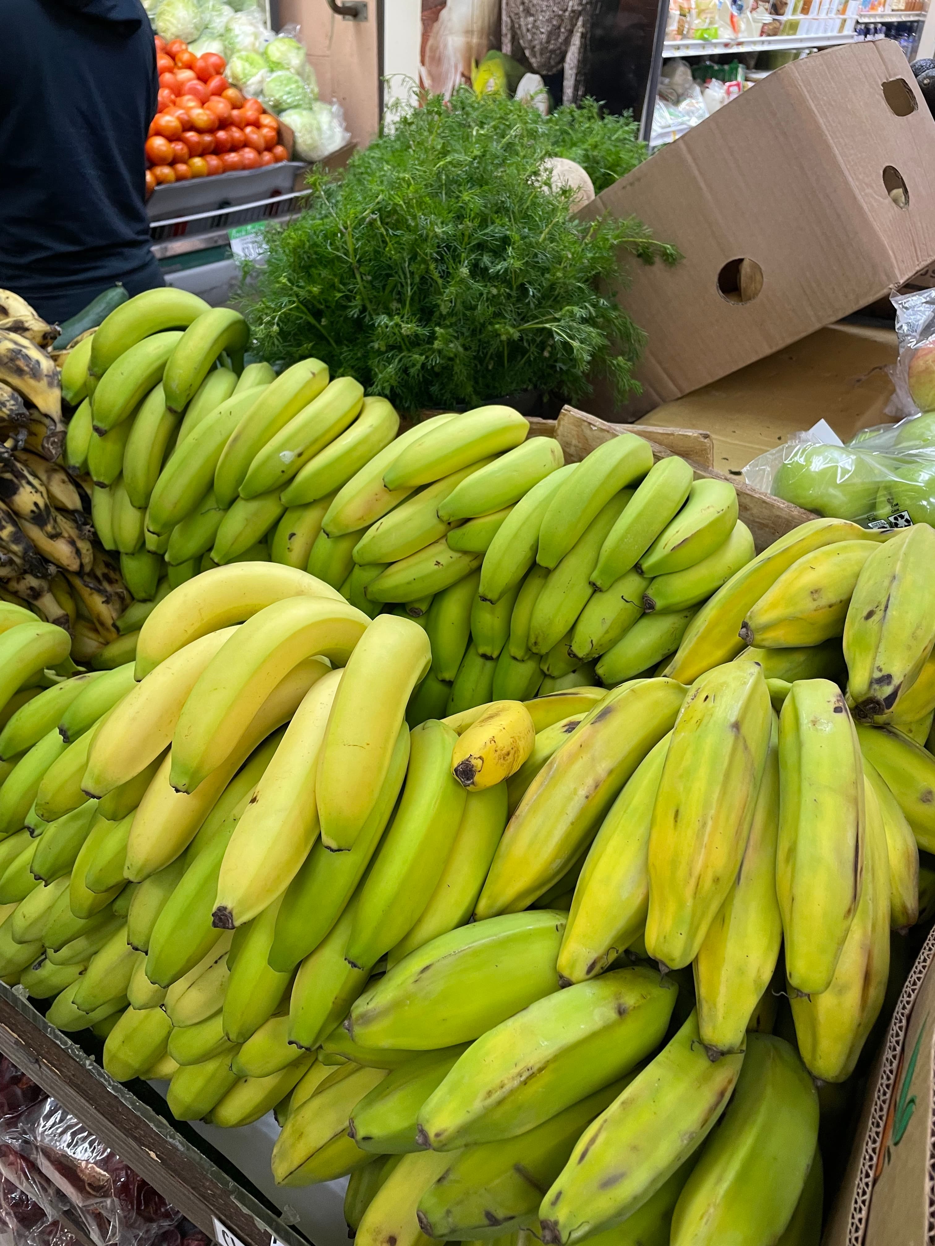 Fresh produce at Rodeo's Meat Market